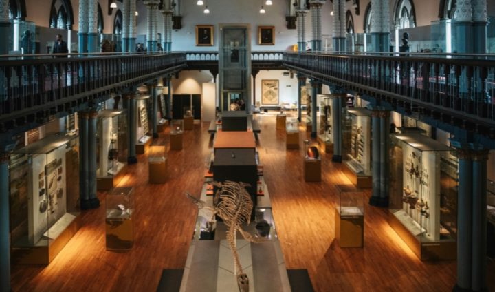 Heritage and Cultural Venues Balancing Conservation Restrictions with Immersive Digital Access